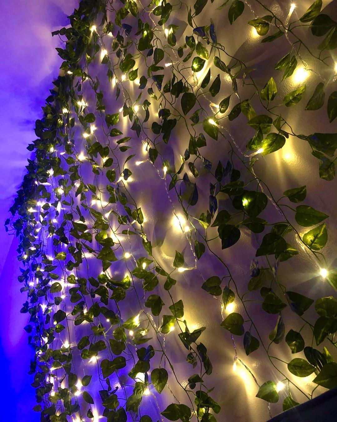 LED Wall Vine Lights - Image 4