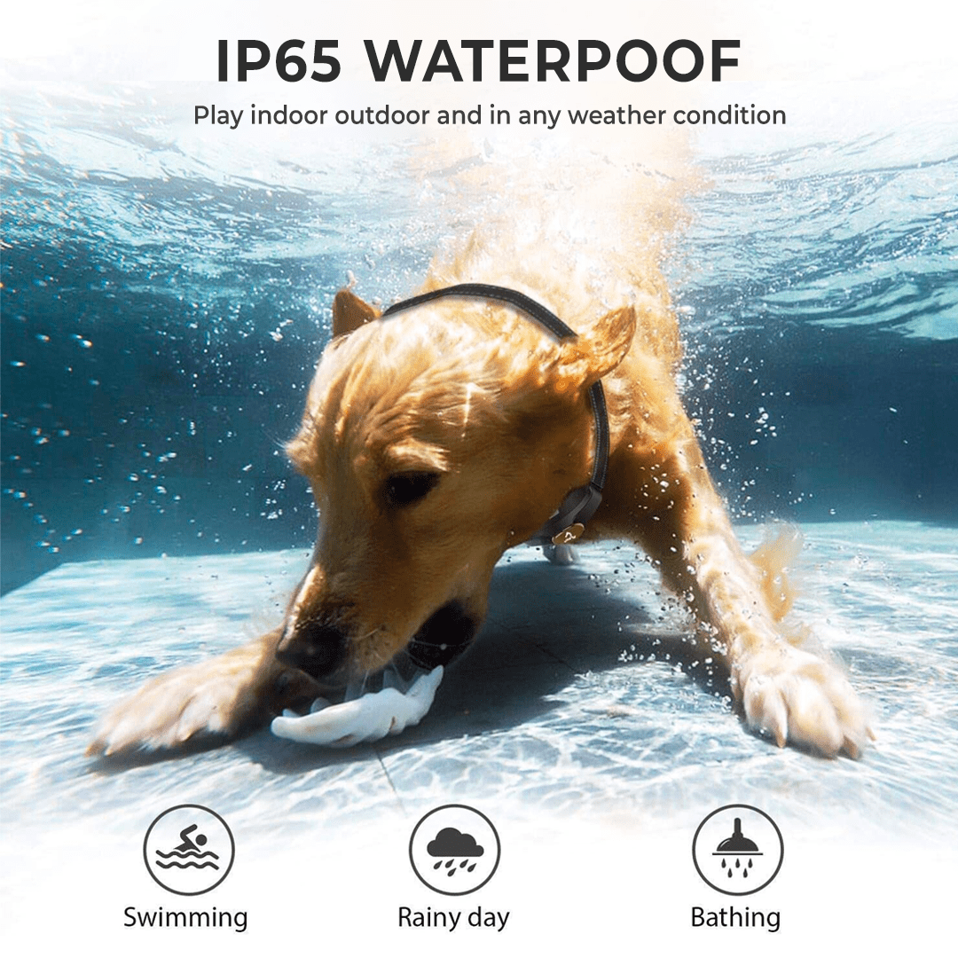 SmartPet Dog Training Collar with Remote - Image 4