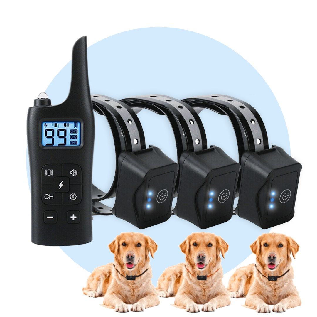 SmartPet Dog Training Collar with Remote - Image 15