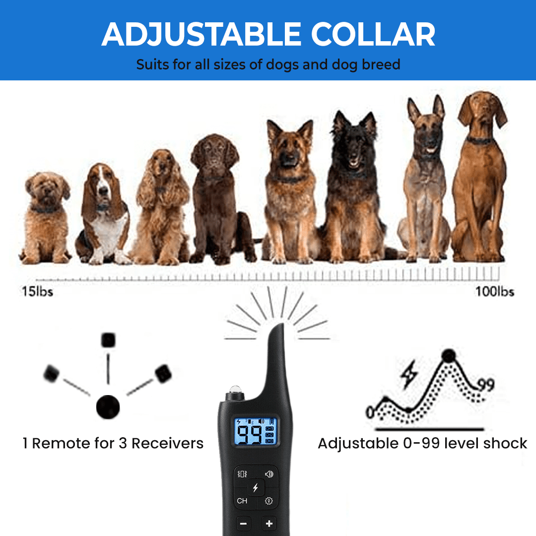 SmartPet Dog Training Collar with Remote - Image 5