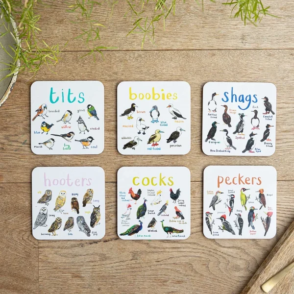 Set of 6 Bird Pun Coasters - Image 2