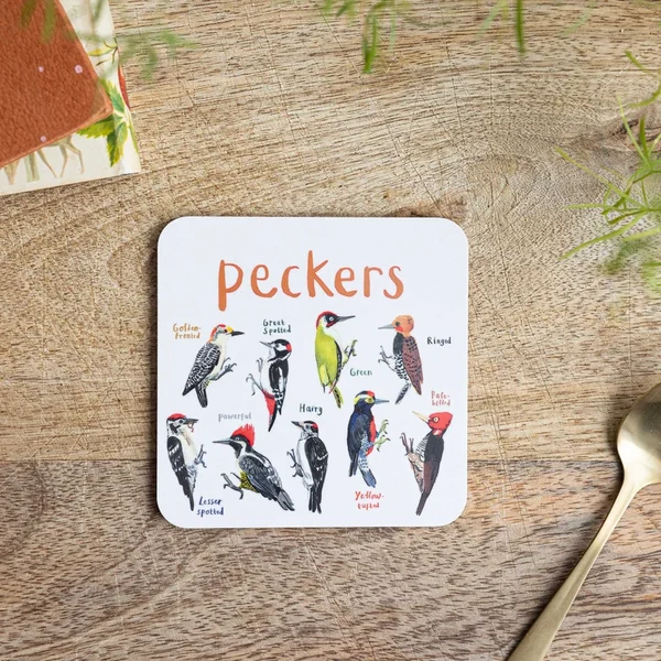Set of 6 Bird Pun Coasters - Image 6