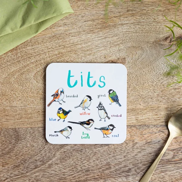 Set of 6 Bird Pun Coasters - Image 4