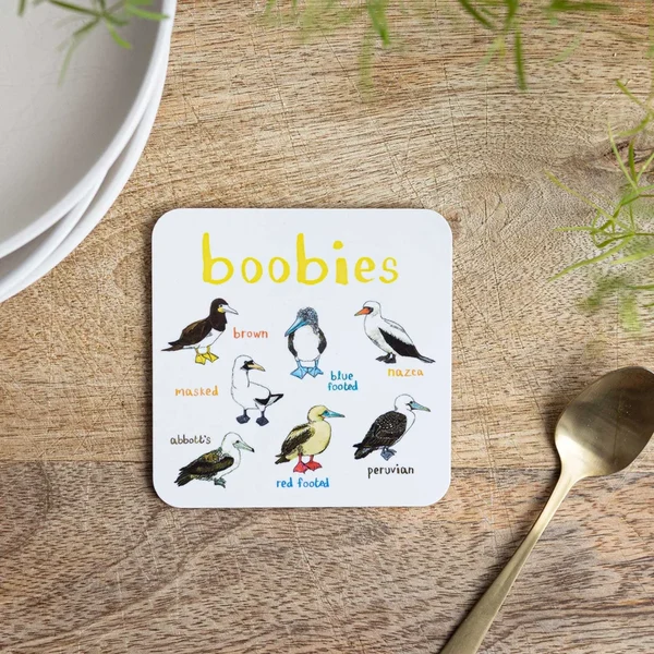 Set of 6 Bird Pun Coasters - Image 5